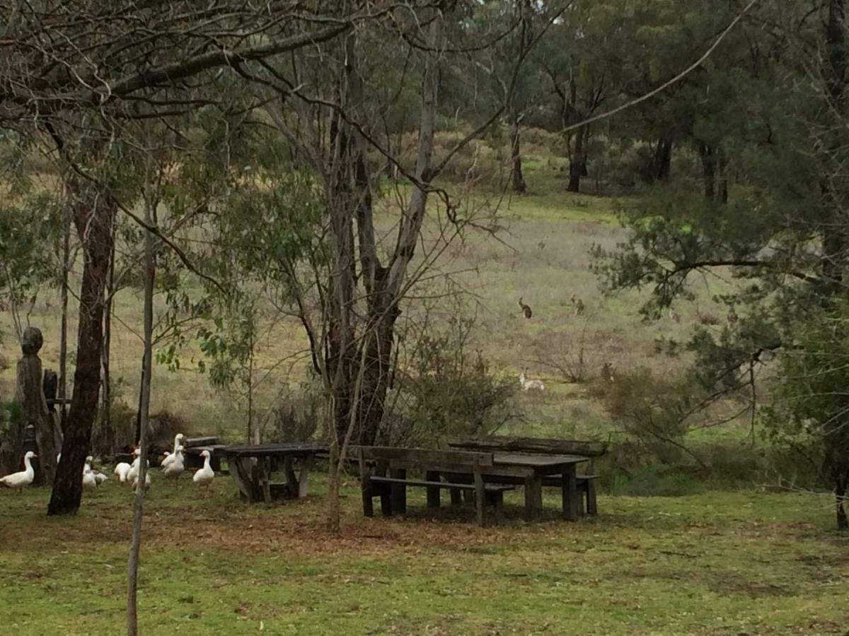 Wildwood Guesthouse Mudgee Eksteriør billede