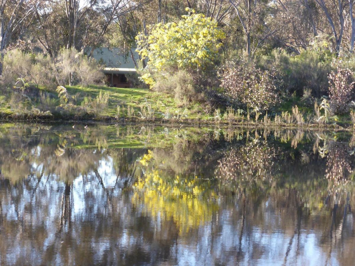 Wildwood Guesthouse Mudgee Eksteriør billede