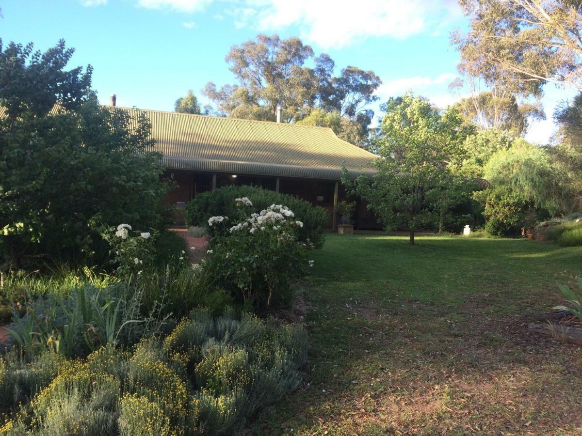 Wildwood Guesthouse Mudgee Eksteriør billede