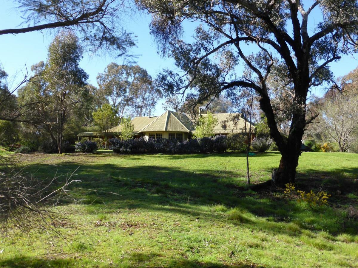 Wildwood Guesthouse Mudgee Eksteriør billede