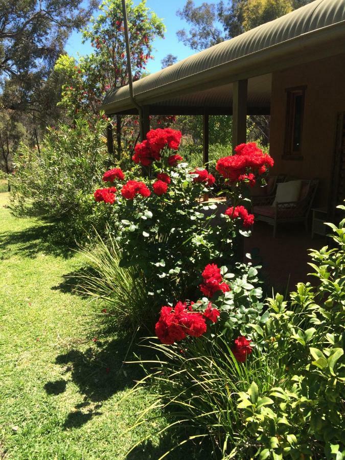 Wildwood Guesthouse Mudgee Eksteriør billede
